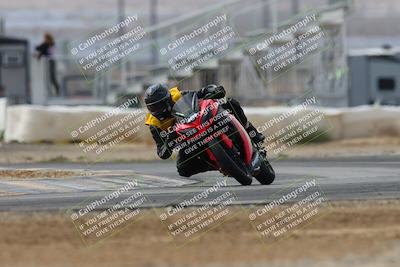 media/Mar-02-2025-Race Pace (Sun) [[8bec80ae00]]/12-Vested (Turn 2) 1111am/
